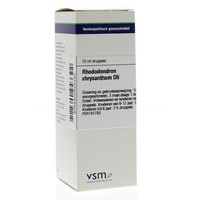 VSM VSM Rhododendron-Chrysantheme D6 (20 ml)