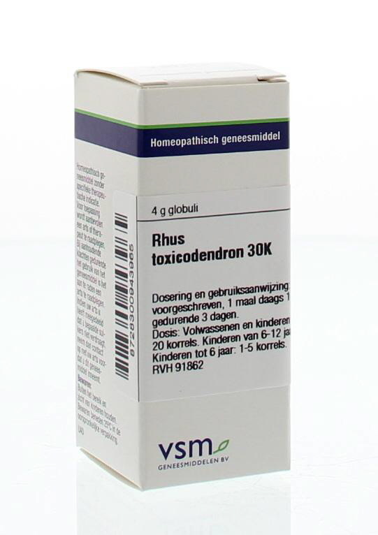 VSM VSM Rhus toxicodendron 30K (4 gr)