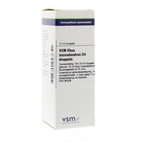 VSM VSM Rhus toxicodendron D4 (20 Ml)