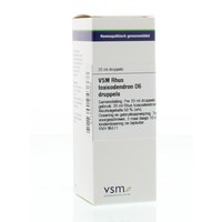 VSM VSM Rhus toxicodendron D6 (20 Ml)