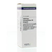 VSM VSM Rhus toxicodendron D6 (20 ml)