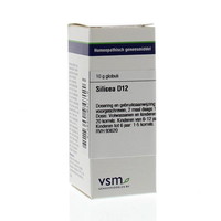 VSM VSM Kieselsäure D12 (10 gr)