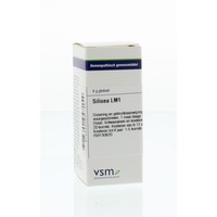 VSM VSM Kieselsäure LM1 (4 gr)
