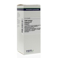 VSM VSM Solidago virgaurea D1 (50 ml)