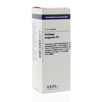 VSM VSM Solidago virgaurea D4 (20 Ml)