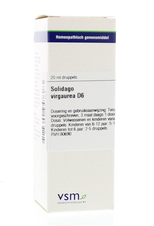 VSM VSM Solidago virgaurea D6 (20 Ml)