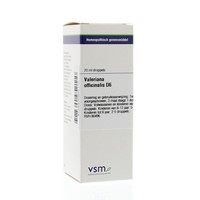 VSM VSM Baldrian officinalis D6 (20 Ml)