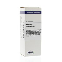 VSM VSM Baldrian officinalis D6 (20ml)