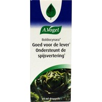 A Vogel A Vogel Boldocynara Tropfen (50 ml)