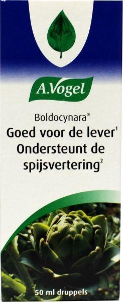 A Vogel A Vogel Boldocynara Tropfen (50 ml)