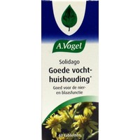 A Vogel A Vogel Solidago (60 Tab)