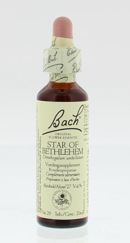 Bach Bach Stern von Bethlehem / Vogelmilch (20 ml)