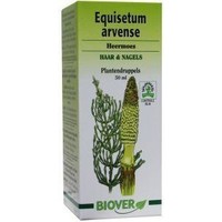 Biover Biover Equisetum arvense Tinktur Bio (50 Ml)