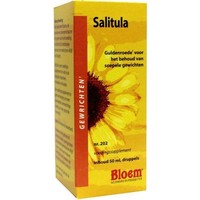 Bloem Bloem Salbei (50 Ml)