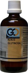 GO GO Alnus glutinosa (100 Ml)