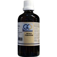GO GO Betula pubescens Bio (100 Ml)