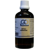 GO GO Betula verrucosa bio (100 Ml)