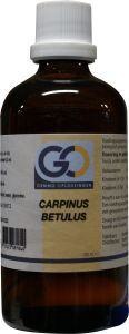 GO GO Carpinus betulus (100 Ml)