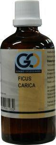 GO GO Ficus carica bio (100 ml)