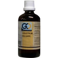 GO GO Ligustrum vulgare (100 Ml)