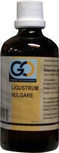GO GO Ligustrum vulgare (100 Ml)