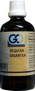 GO GO Sequoia gigantea bio (100 ml)