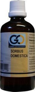 GO GO Sorbus Domestica Bio (100 ml)