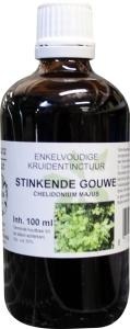 Natura Sanat Natura Sanat Chelidonium majus / Schöllkrauttinktur bio (100 Ml)