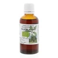 Natura Sanat Natura Sanat Olea europaea folia / Olivenblatttinktur bio (50 Ml)