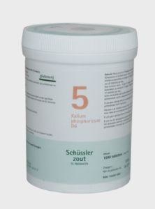 Pfluger Kalium phosphoricum 5 D6 Schussler (1000 Tab)