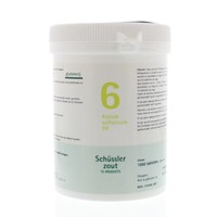 Pfluger Pfluger Kalium sulfuricum 6 D6 Schussler (1000 Tab)