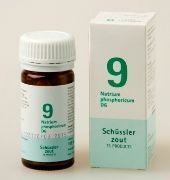 Pfluger Natrium Phosphoricum 9 D6 Schussler (100 Tab)