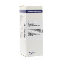 VSM VSM Aesculus hippocastanum D6 (20 Ml)