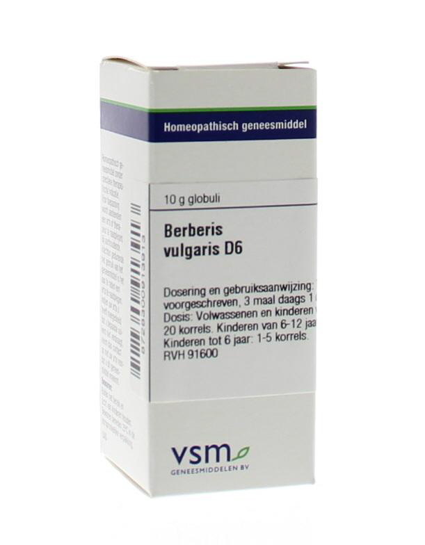VSM VSM Berberitze vulgaris D6 (10 gr)