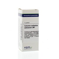 VSM VSM Calcium carbonicum ostrearum LM1 (4 g)