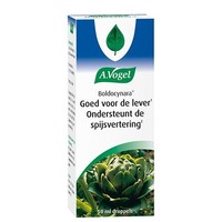 A Vogel A Vogel Boldocynara Tropfen (50 ml)