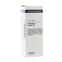 VSM VSM Convallaria Majalis D4 (20 ml)