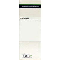 VSM VSM Echinacea pallida D4 (20 Ml)