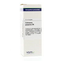 VSM VSM Echinacea purpurea D6 (20ml)