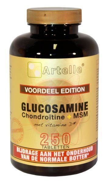 Artelle Artelle Glucosamin/Chondroitin/msm (250 Tabletten)