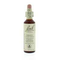 Bach Bach Cerato / Bleiwurz (20 ml)