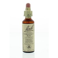 Bach Bach Kastanienknospe / Kastanienknospe (20 ml)