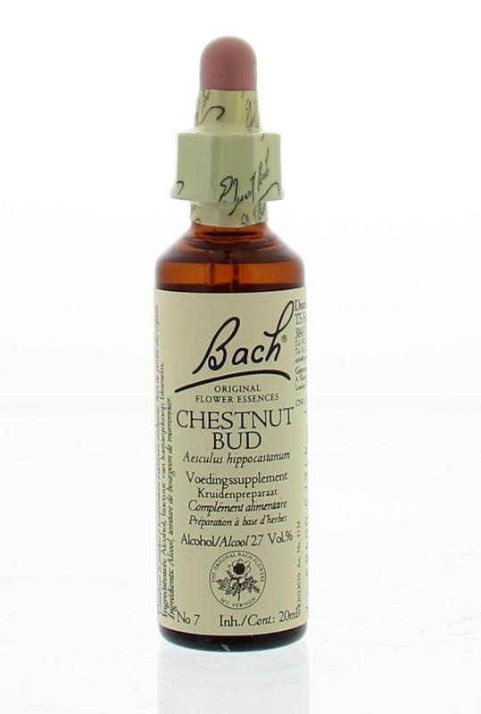 Bach Bach Kastanienknospe / Kastanienknospe (20 ml)