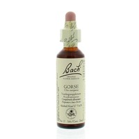 Bach Bach Ginster / Ginster (20 Ml)