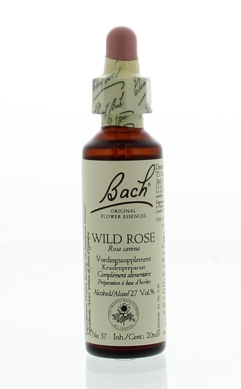 Bach Bach Wildrose / Heckenrose (20 ml)