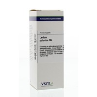 VSM VSM Ledum palustre D6 (20 Ml)