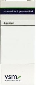 VSM VSM Lycopodium clavatum LM6 (4 g)