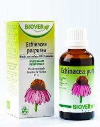 Biover Biover Echinapurpurea Tinktur bio (50 ml)