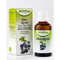Biover Biover Ribes nigrum bio (50 Ml)
