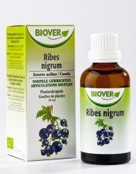 Biover Biover Ribes nigrum bio (50 Ml)